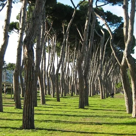 Pineto-italy-appartamento Vista Mare E Pineta Appartement