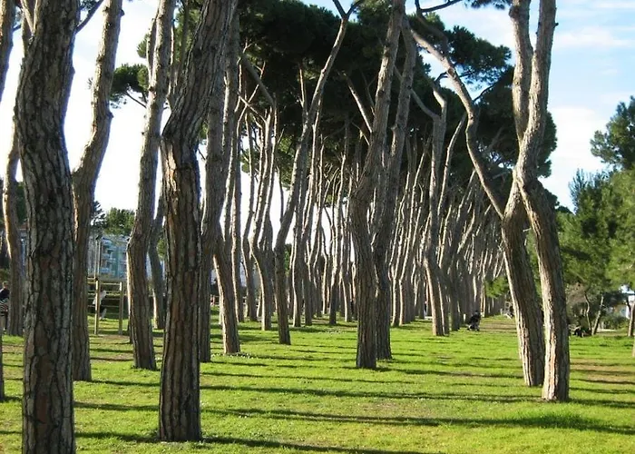 Pineto-italy-appartamento Vista Mare E Pineta アパート