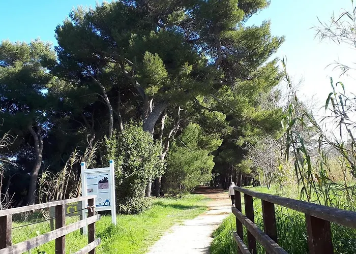 Pineto-italy-appartamento Vista Mare E Pineta Пинето